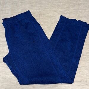 Nike Therma-Fit Blue Pants Women’s Large